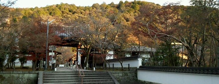 Eikando Zenrin-ji is one of 京都の定番スポット　Famous sightseeing spots in Kyoto.