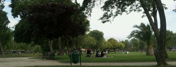 Parque Santa Monica is one of Parques Urbanos Stgo..