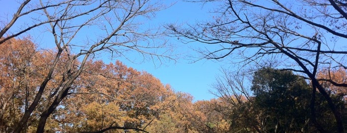 Sengenyama Park is one of 東京都立の公園・庭園.