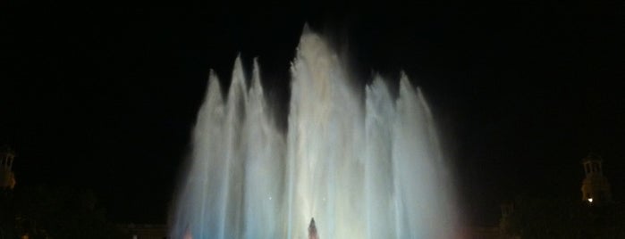 Magic Fountain of Montjuïc is one of Lugares que visitar.