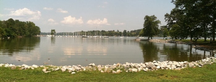 Concord Park:  The Cove is one of East Tennessee Parks and Recreation.