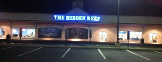 The Hidden Reef is one of Locais curtidos por Ryan.