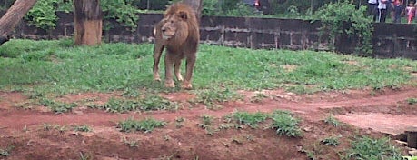 Fundação Zoo-Botânica de Belo Horizonte is one of Belo Horizonte.