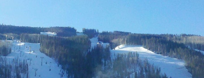 Vail Ski Resort is one of Visit All Vail Resorts.