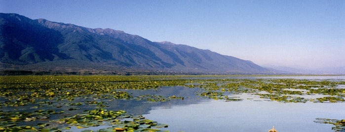 Λίμνη Κερκίνη is one of Damianos'un Beğendiği Mekanlar.