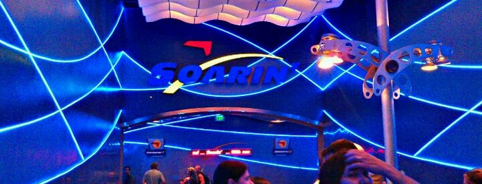 Soarin' is one of Must Experience Attractions in Florida.