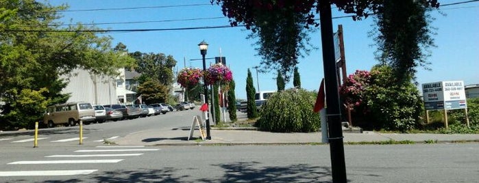 Top 10 Favorite Places in Kingston, WA