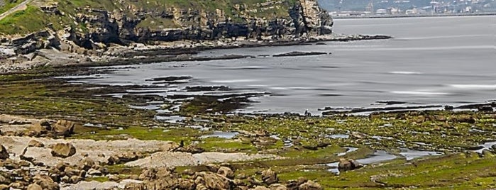 Playa de Peñarrubia is one of Playas de España: Principado de Asturias.
