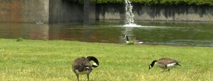 Milliken Duck Pond is one of Tempat yang Disukai Jeremy.