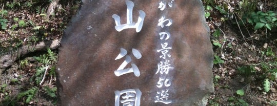 塚山公園 is one of 神奈川県立都市公園一覧.