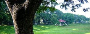Sunken Garden is one of All-time favorites in Philippines.