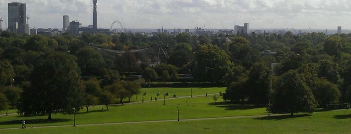 Primrose Hill is one of London as a local.