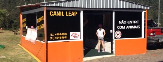 Canil Leap is one of Aurelio’s Liked Places.