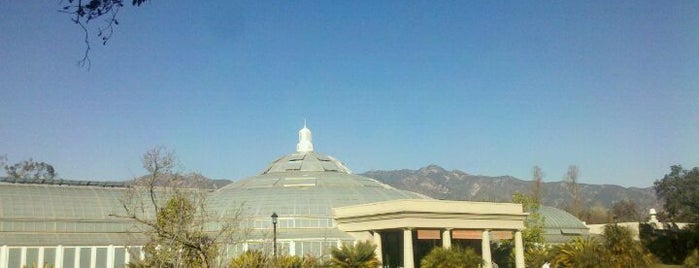 The Huntington Library, Art Collections, and Botanical Gardens is one of Great Places to Read in LA.