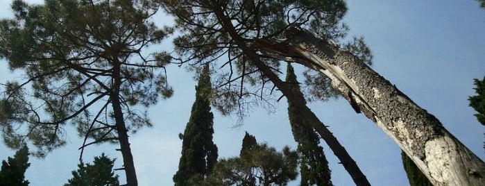 Bosco di Vincigliata is one of Giardini e luoghi per escursioni.