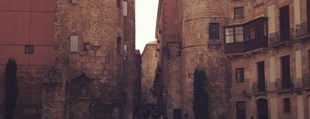 Plaça Nova is one of Must see sights in Barcelona.