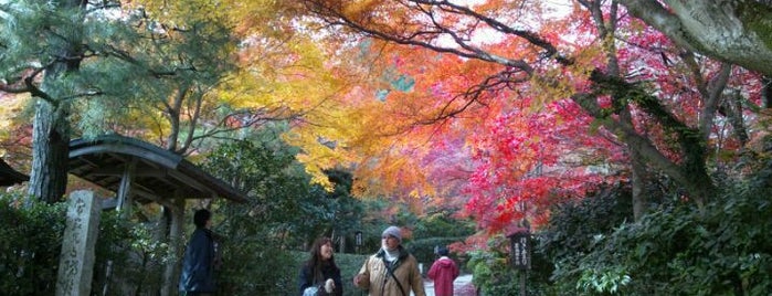 Jōjakkō-ji Temple is one of 京都の定番スポット　Famous sightseeing spots in Kyoto.