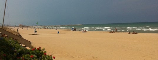 Playa de Oliva is one of Playas de la Comunidad Valenciana.