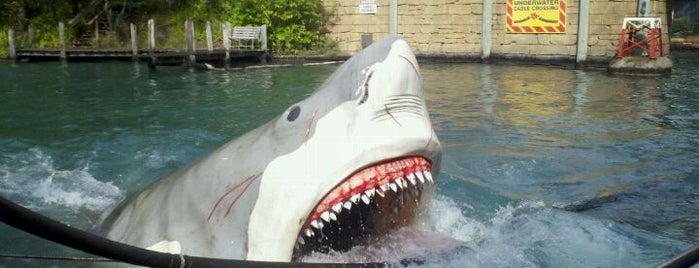 Jaws is one of Must Experience Attractions in Florida.