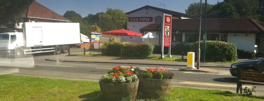 The Pied Piper is one of Orte, die Teresa gefallen.
