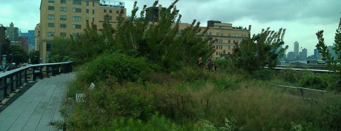 High Line is one of New York.