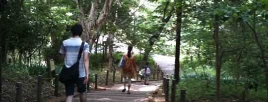 Rinshi no Mori Park is one of 東京の公園50.