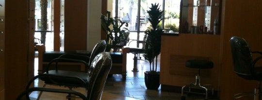 Christopher & Co. Salon is one of Cali bebe.