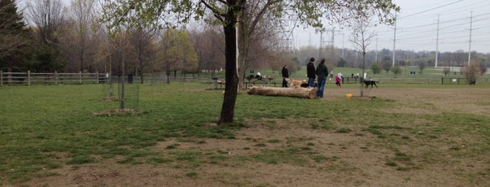 Thomson Memorial Dog Park is one of Toronto Off-Leash Dog Parks.