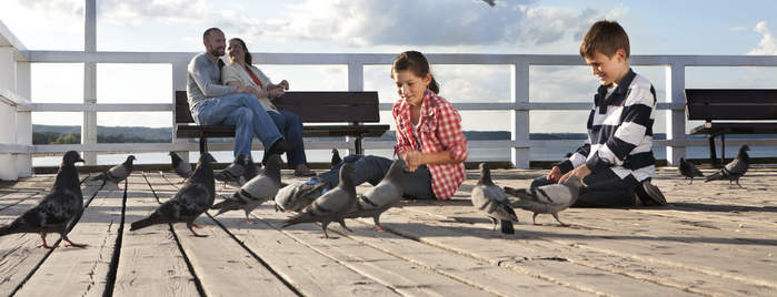 Molo w Brzeźnie is one of Beach #InGdansk.