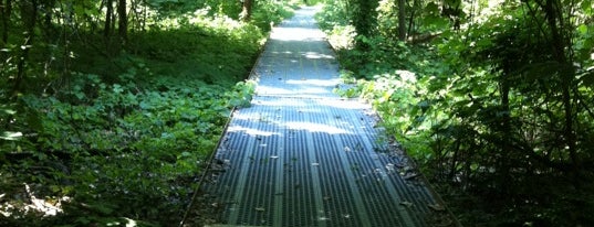 Big Oak Tree State Park is one of Camping and Glamping.