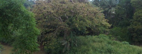 Mahaweli River is one of Trips / Sri Lanka.