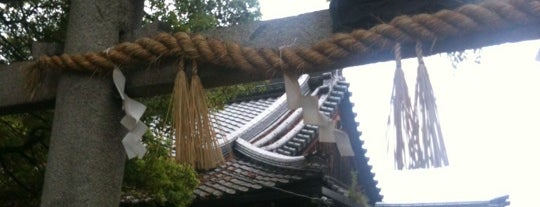 新熊野神社 is one of Kyoto_Sanpo.