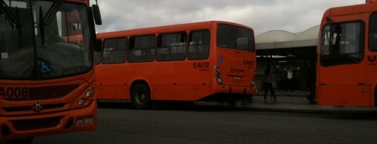 Transporte Público Curitiba