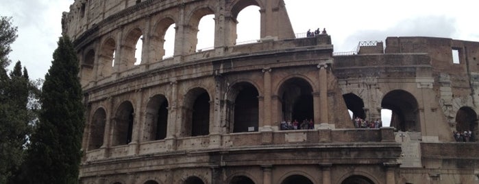 Coliseo is one of Roma.