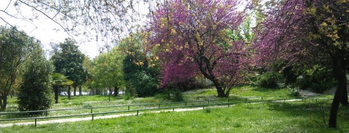 Fenerbahçe Parkı is one of Top50 Reasons to Live on Asian Side of Istanbul.