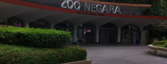 Zoo Negara (National Zoo) is one of Jalan Kuala Lumpur.