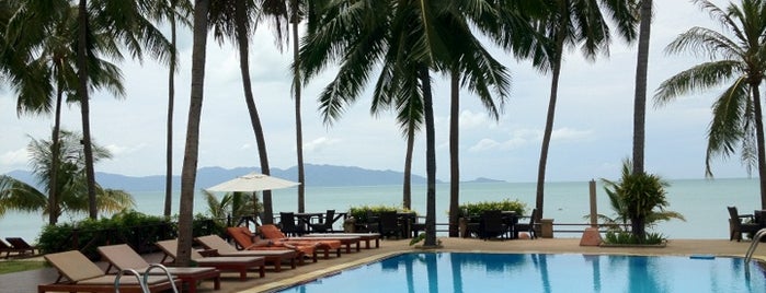 Coco Palm Beach Resort is one of Posti salvati di Анжи ⛔.