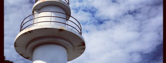 Goishisaki Lighthouse is one of Locais curtidos por Minami.