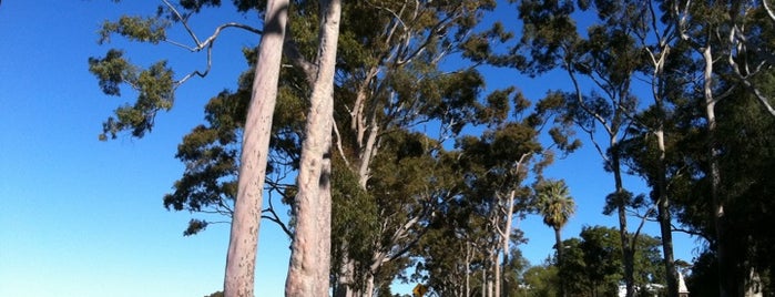 Kings Park and Botanic Garden is one of Perth.
