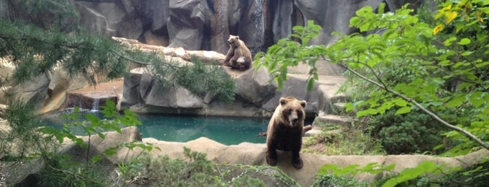Riverbanks Zoo And Gardens is one of Columbia Attractions.