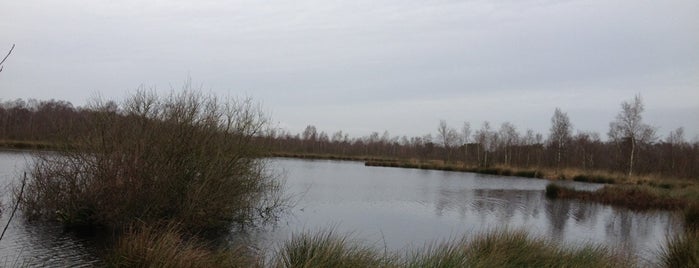 Nationaal Park De Groote Peel is one of Limburg.