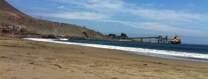 Playa Amarilla is one of Luis's Saved Places.