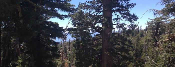 Washoe Overlook is one of Tempat yang Disukai Rob.