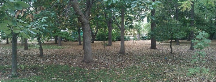 CSU Arboretum is one of FOCO.