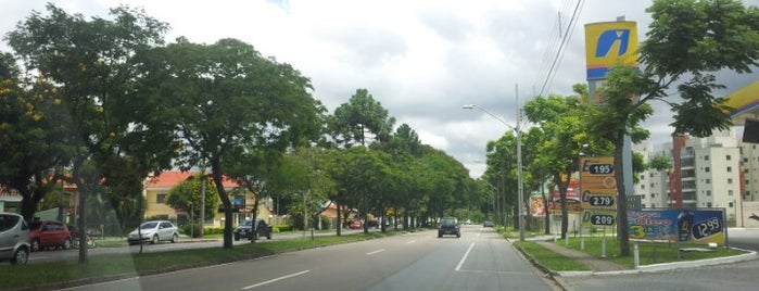 Avenida Nossa Senhora Da Luz is one of Ruas de Curitiba.