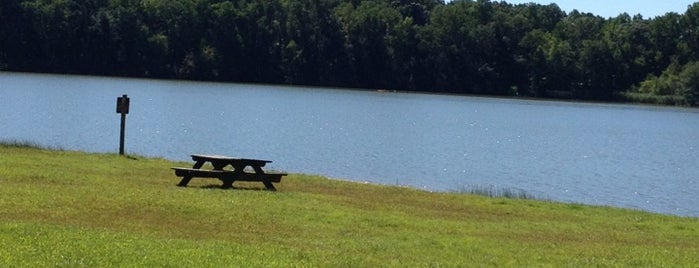 Lums Pond State Park is one of Parks.