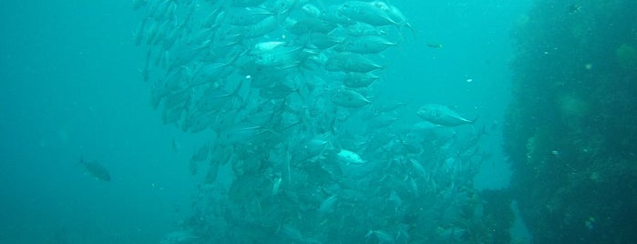 Twin Rocks Dive Site is one of フィリピン.