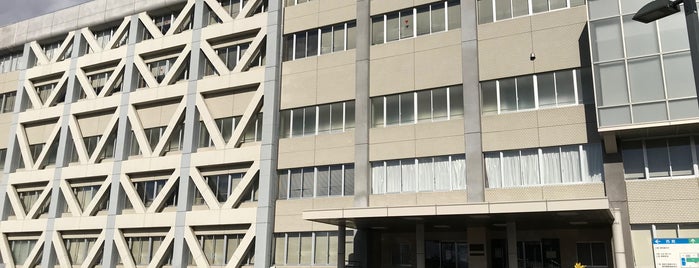 地方裁判所