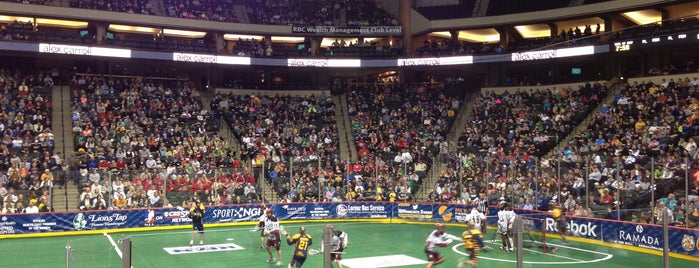 Minnesota Swarm is one of sports, active, health, fitness.