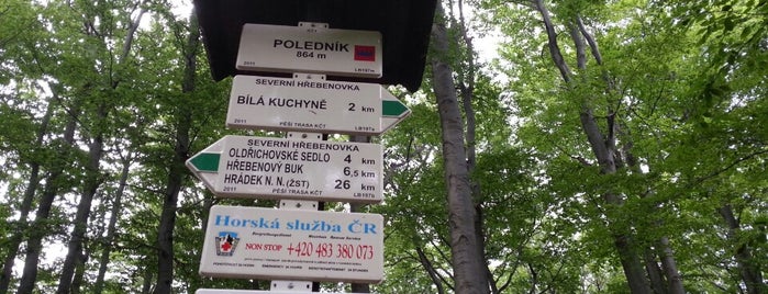 Poledník (864m) is one of Turistické cíle v Jizerských horách.